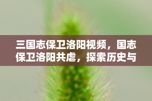三国志保卫洛阳视频,国志保卫洛阳共虐,探索历史与文化的深度交融 三国志保卫洛阳视频,国志保卫洛阳共虐,探索历史与文化的深度交融