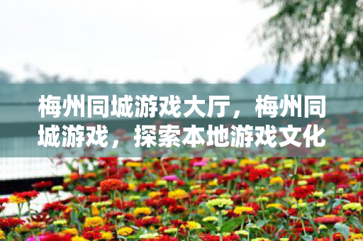 梅州同城游戏大厅,梅州同城游戏,探索本地游戏文化的独特魅力 梅州同城游戏大厅,梅州同城游戏,探索本地游戏文化的独特魅力