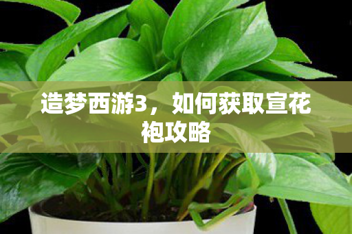 造梦西游3,如何获取宣花袍攻略 造梦西游3,如何获取宣花袍攻略