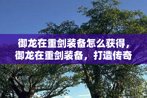 御龙在重剑装备怎么获得,御龙在重剑装备,打造传奇的必备利器 御龙在重剑装备怎么获得,御龙在重剑装备,打造传奇的必备利器
