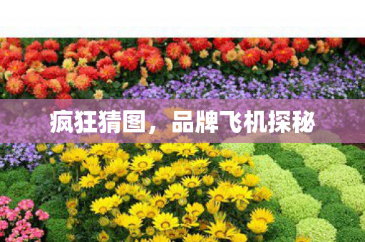疯狂猜图,品牌飞机探秘 疯狂猜图,品牌飞机探秘