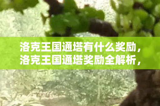 洛克王国通塔有什么奖励,洛克王国通塔奖励全解析,丰厚奖励与策略建议 洛克王国通塔有什么奖励,洛克王国通塔奖励全解析,丰厚奖励与策略建议