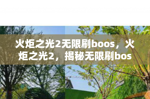 火炬之光2无限刷boos,火炬之光2,揭秘无限刷boss的奥秘 火炬之光2无限刷boos,火炬之光2,揭秘无限刷boss的奥秘