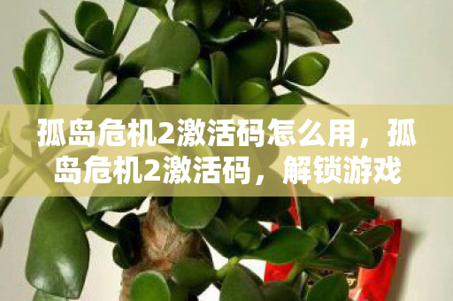 孤岛危机2激活码怎么用,孤岛危机2激活码,解锁游戏世界的钥匙 孤岛危机2激活码怎么用,孤岛危机2激活码,解锁游戏世界的钥匙