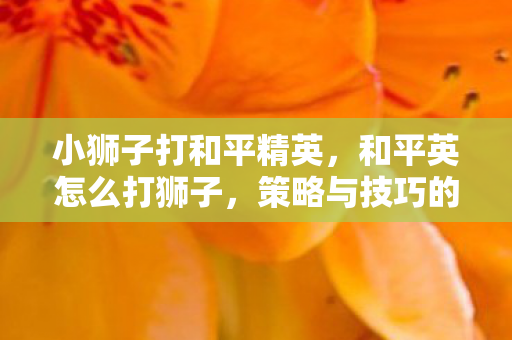 小狮子打和平精英，和平英怎么打狮子，策略与技巧的深度解析