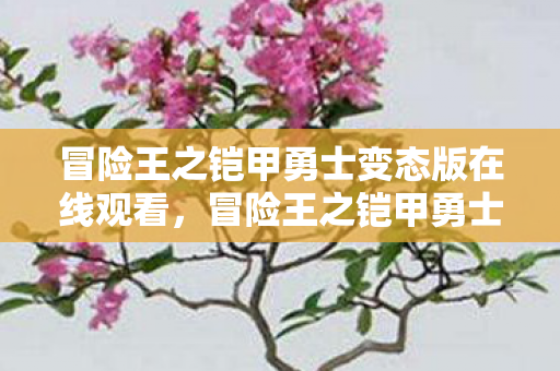 冒险王之铠甲勇士变态版在线观看,冒险王之铠甲勇士变态版,解锁全新战斗体验 冒险王之铠甲勇士变态版在线观看,冒险王之铠甲勇士变态版,解锁全新战斗体验