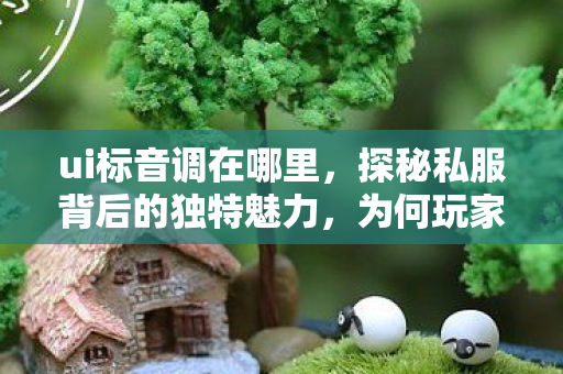 ui标音调在哪里,探秘私服背后的独特魅力,为何玩家趋之若鹜? ui标音调在哪里,探秘私服背后的独特魅力,为何玩家趋之若鹜?