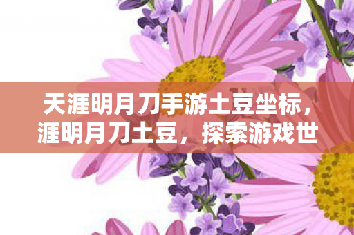 天涯明月刀手游土豆坐标,涯明月刀土豆,探索游戏世界的无限可能 天涯明月刀手游土豆坐标,涯明月刀土豆,探索游戏世界的无限可能