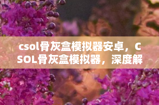csol骨灰盒模拟器安卓，CSOL骨灰盒模拟器，深度解析与体验分享