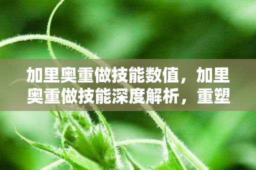 加里奥重做技能数值,加里奥重做技能深度解析,重塑坦克之魂 加里奥重做技能数值,加里奥重做技能深度解析,重塑坦克之魂