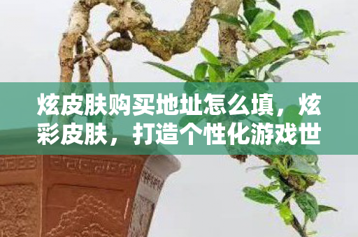 炫皮肤购买地址怎么填,炫彩皮肤,打造个性化游戏世界的必备神器 炫皮肤购买地址怎么填,炫彩皮肤,打造个性化游戏世界的必备神器