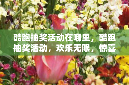酷跑抽奖活动在哪里,酷跑抽奖活动,欢乐无限,惊喜连连! 酷跑抽奖活动在哪里,酷跑抽奖活动,欢乐无限,惊喜连连!