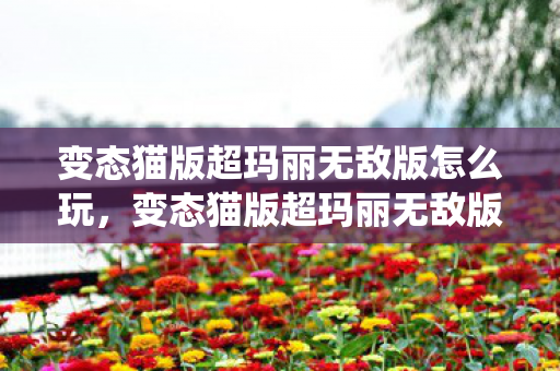 变态猫版超玛丽无敌版怎么玩,变态猫版超玛丽无敌版,经典游戏的另类演绎 变态猫版超玛丽无敌版怎么玩,变态猫版超玛丽无敌版,经典游戏的另类演绎