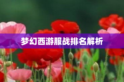 梦幻西游服战排名解析 梦幻西游服战排名解析