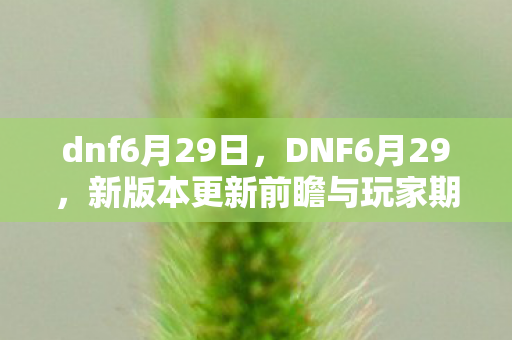 dnf6月29日,DNF6月29,新版本更新前瞻与玩家期待 dnf6月29日,DNF6月29,新版本更新前瞻与玩家期待