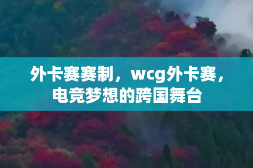 外卡赛赛制,wcg外卡赛,电竞梦想的跨国舞台 外卡赛赛制,wcg外卡赛,电竞梦想的跨国舞台