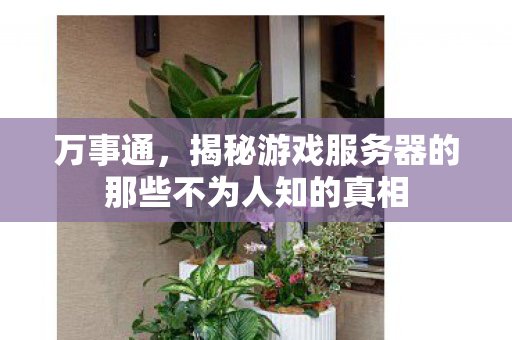 万事通,揭秘游戏服务器的那些不为人知的真相 万事通,揭秘游戏服务器的那些不为人知的真相