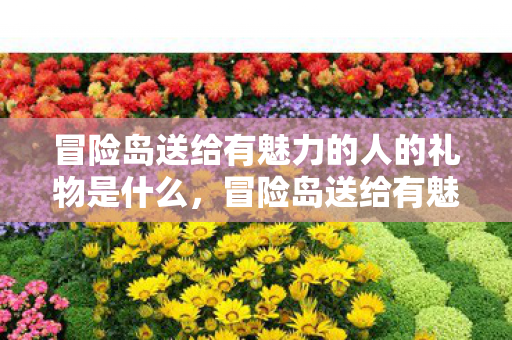 冒险岛送给有魅力的人的礼物是什么，冒险岛送给有魅力的人的礼物