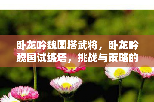 卧龙吟魏国塔武将,卧龙吟魏国试练塔,挑战与策略的深度解析 卧龙吟魏国塔武将,卧龙吟魏国试练塔,挑战与策略的深度解析