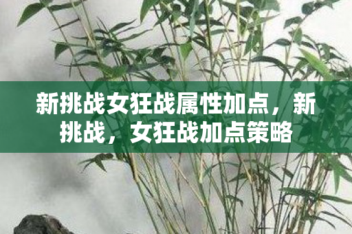 新挑战女狂战属性加点，新挑战，女狂战加点策略