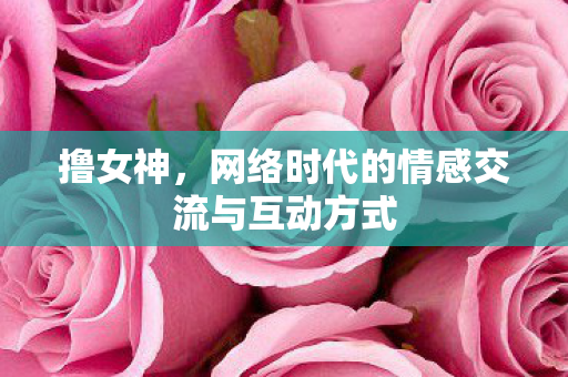 撸女神,网络时代的情感交流与互动方式 撸女神,网络时代的情感交流与互动方式