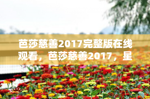芭莎慈善2017完整版在线观看，芭莎慈善2017，星光熠熠的慈善之夜