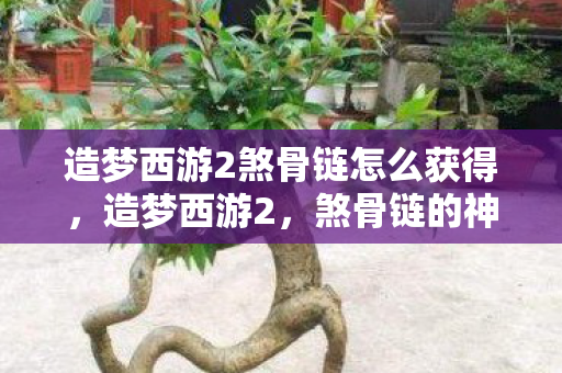 造梦西游2煞骨链怎么获得,造梦西游2,煞骨链的神秘魅力与打造攻略 造梦西游2煞骨链怎么获得,造梦西游2,煞骨链的神秘魅力与打造攻略