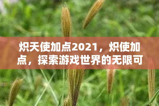 炽天使加点2021,炽使加点,探索游戏世界的无限可能 炽天使加点2021,炽使加点,探索游戏世界的无限可能