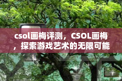 csol画梅评测，CSOL画梅，探索游戏艺术的无限可能