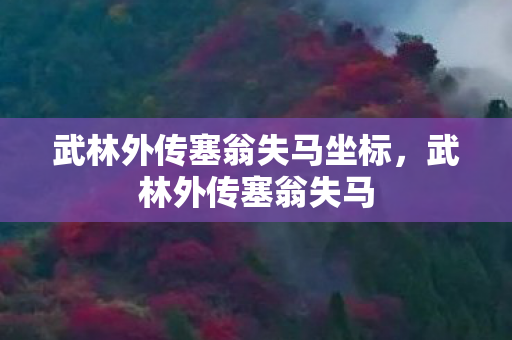 武林外传塞翁失马坐标，武林外传塞翁失马