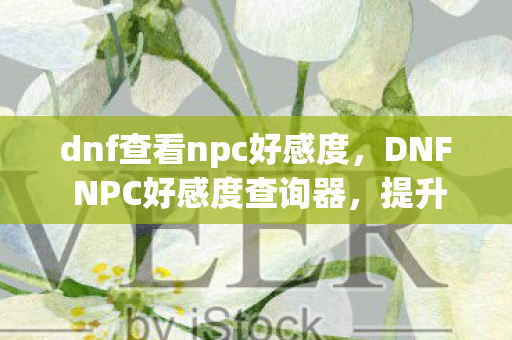 dnf查看npc好感度，DNF NPC好感度查询器，提升游戏体验的实用工具