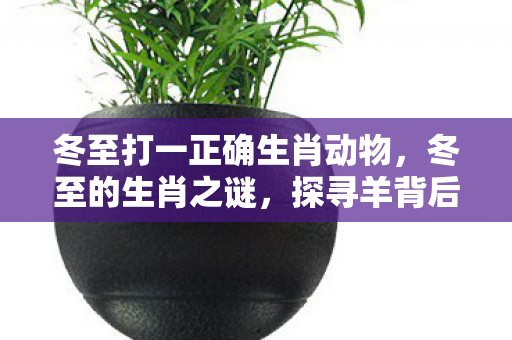 冬至打一正确生肖动物,冬至的生肖之谜,探寻羊背后的文化寓意 冬至打一正确生肖动物,冬至的生肖之谜,探寻羊背后的文化寓意