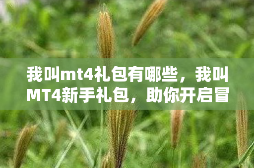 我叫mt4礼包有哪些，我叫MT4新手礼包，助你开启冒险之旅