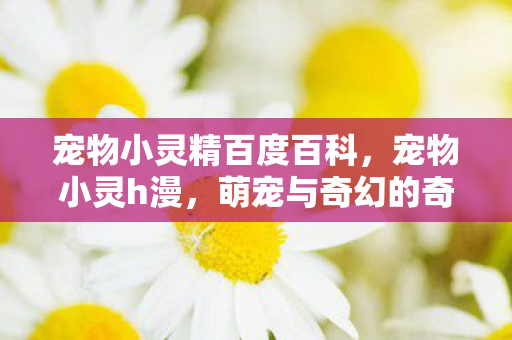 宠物小灵精百度百科，宠物小灵h漫，萌宠与奇幻的奇妙融合