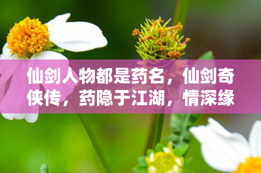 仙剑人物都是药名，仙剑奇侠传，药隐于江湖，情深缘浅