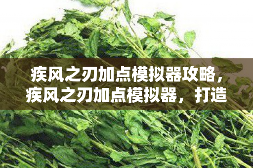 疾风之刃加点模拟器攻略，疾风之刃加点模拟器，打造个性化角色，提升战斗效率