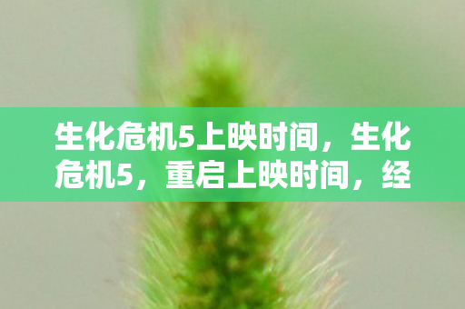 生化危机5上映时间，生化危机5，重启上映时间，经典续作再燃激情