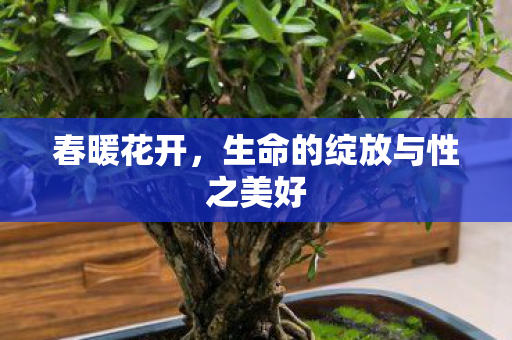 春暖花开,生命的绽放与性之美好 春暖花开,生命的绽放与性之美好