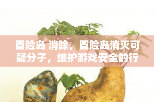 冒险岛 消除,冒险岛消灭可疑分子,维护游戏安全的行动 冒险岛 消除,冒险岛消灭可疑分子,维护游戏安全的行动