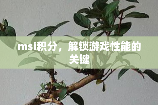 msi积分，解锁游戏性能的关键