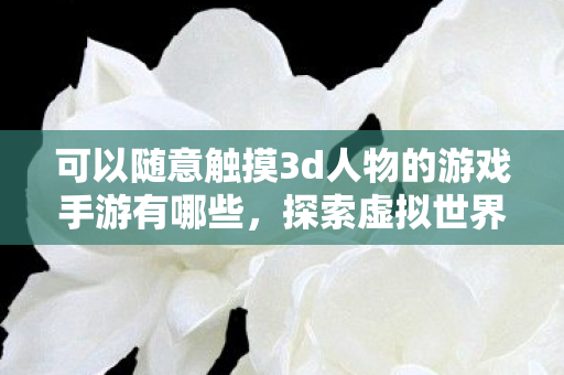 可以随意触摸3d人物的游戏手游有哪些，探索虚拟世界，可以随意触摸3D人物的游戏手游