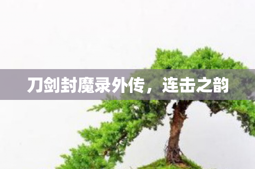 刀剑封魔录外传,连击之韵 刀剑封魔录外传,连击之韵