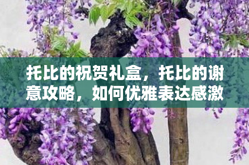 托比的祝贺礼盒，托比的谢意攻略，如何优雅表达感激之情