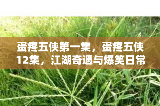 蛋疼五侠第一集,蛋疼五侠12集,江湖奇遇与爆笑日常 蛋疼五侠第一集,蛋疼五侠12集,江湖奇遇与爆笑日常
