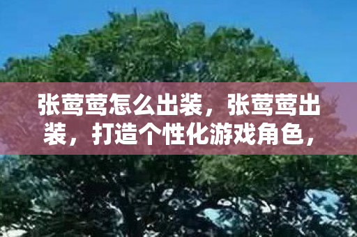 张莺莺怎么出装，张莺莺出装，打造个性化游戏角色，展现独特魅力