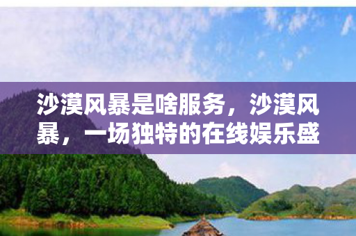 沙漠风暴是啥服务，沙漠风暴，一场独特的在线娱乐盛宴