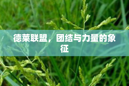 德莱联盟,团结与力量的象征 德莱联盟,团结与力量的象征