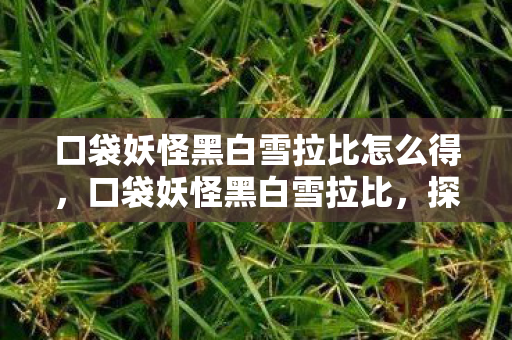 口袋妖怪黑白雪拉比怎么得,口袋妖怪黑白雪拉比,探索神秘世界的奇妙旅程 口袋妖怪黑白雪拉比怎么得,口袋妖怪黑白雪拉比,探索神秘世界的奇妙旅程
