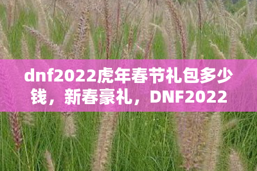 dnf2022虎年春节礼包多少钱,新春豪礼,DNF2022虎年礼包震撼登场 dnf2022虎年春节礼包多少钱,新春豪礼,DNF2022虎年礼包震撼登场