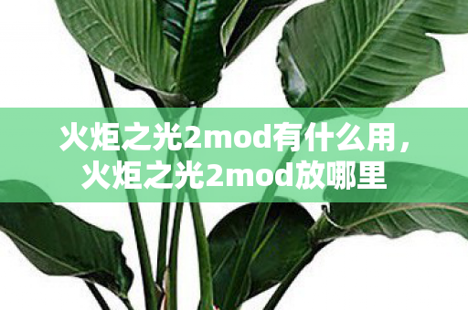 火炬之光2mod有什么用,火炬之光2mod放哪里 火炬之光2mod有什么用,火炬之光2mod放哪里